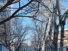 -元大都城垣遗址公园