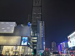 -黑色经典臭豆腐·湖南特产(太平街口店)
