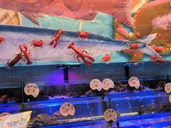 -喜碧海鲜·二十年本土海鲜老字号(上排店)
