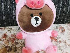 -PAWTOY爪e玩偶店(天兴罗斯福店)