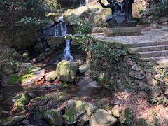 -莫干山风景区