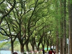 -食膳公园包子铺(烈士公园店)