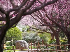 -终南山古楼观历史文化景区