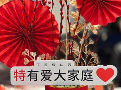 -TESLA 特斯拉(上海太古汇体验店)