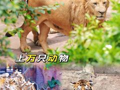 -长鹿旅游休博园