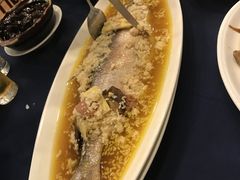 -老吉士酒家(天平路店)