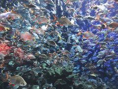 -成都浩海立方海洋公园