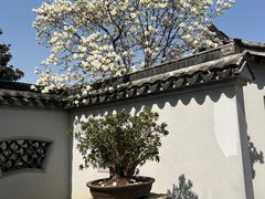 -无锡梅园公园