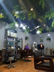 -Ly形象设计