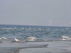 -烟台金沙滩海滨公园