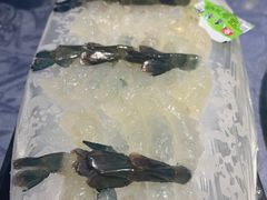 -联邦酒楼