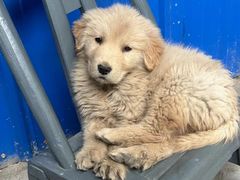 -乐宠宠物店(世纪金源店)