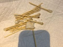 -宠爱国际动物医院· 猫科· 外科·中兽医(长白店)