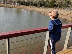 -东郊湿地公园