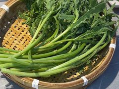 -生活如沸·顺德水牛奶火锅(人民广场店)