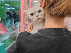 -FAELING PETS美天灵宠物(合生汇店)