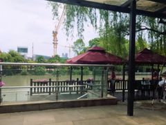 -水岸扬泰·东台鱼汤面(锦延路店)