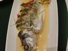 清蒸海鲈鱼-老东吴食府(雅都店)