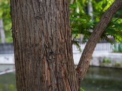 -白水寺森林公园