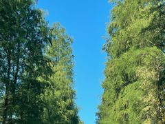 -南沙蒲洲花园