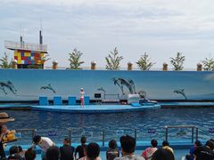 -秦皇岛新澳海底世界