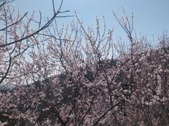 -香山公园