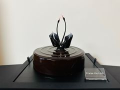 -BLACKSWAN黑天鹅(环球店)