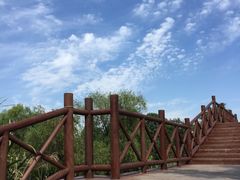 -长兴太湖图影湿地文化园