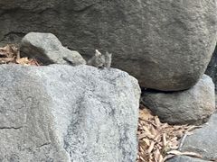 -天津盘山风景名胜区