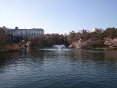 -井之头恩赐公园