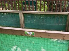 -熊猫自助餐厅.萌趣城堡(长隆熊猫酒店)