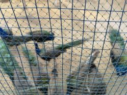 -萌宠亲子动物乐园(槐房万达店)