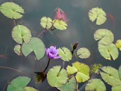 -西湖国宾馆·紫薇厅