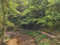 -碧峰峡风景区