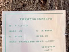 -吉林大学(新民校区)
