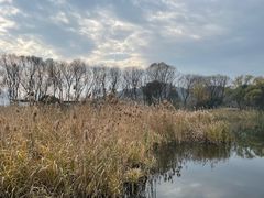 -西湖风景区-江洋畈生态公园