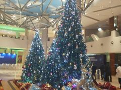 -成都世纪城假日酒店-西楼