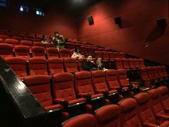 -万达影城(锦华万达广场IMAX店)