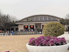 -秦始皇帝陵博物院(兵马俑)