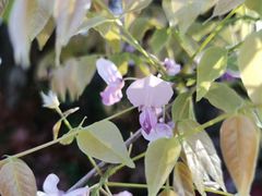 -双拥公园