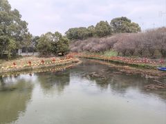 -韩湘水博园