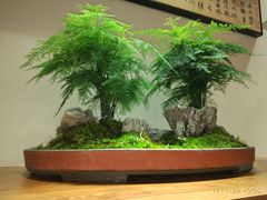 -秦淮礼物(贡院街店)