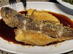 -大树餐厅(大悦城店)