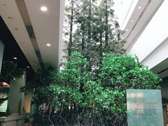 -中国湿地博物馆
