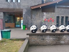 -都江堰中华大熊猫苑