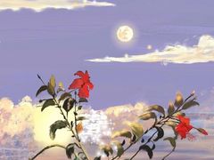 -海底捞火锅(海悦天地店)