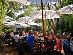 -Fern Forest Cafe