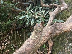 -三清山希尔顿度假酒店