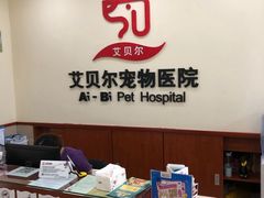 -艾贝尔宠物医院·狂犬免疫点(江山金象城店)