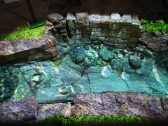 -南越王博物院(王宫展区)